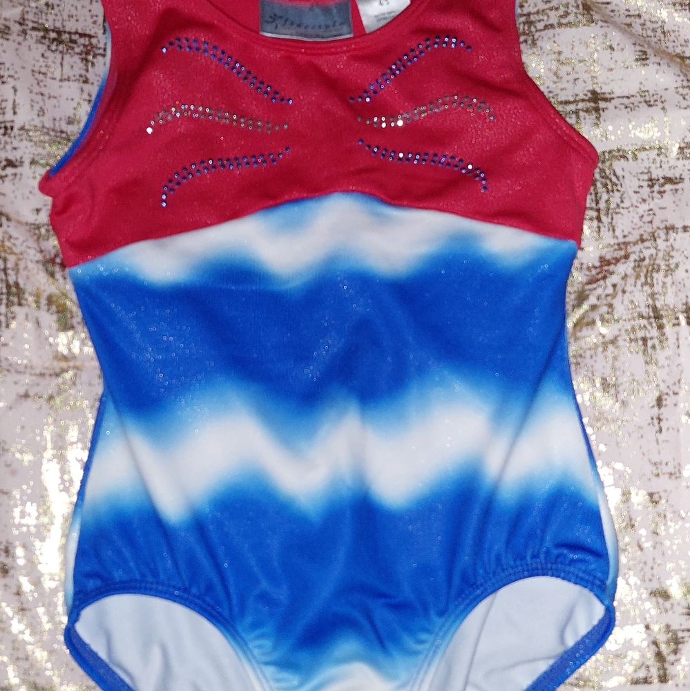 Freestyle Danskin Patriotic Leotard